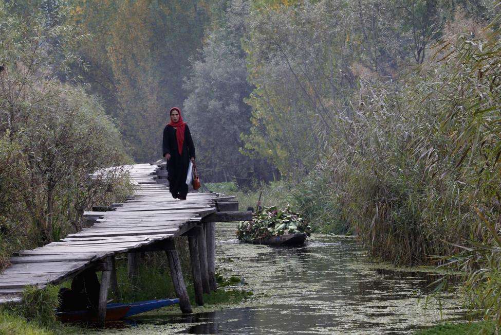 A Kashmiri woman walks on a footbridge in the interior of Dal Lake during autumn in Srinagar. Footbridges and small boats are the only link between the shore and people residing in the interior of Dal Lake, the region's main tourist attraction. (REUTERS/Fayaz Kabli/Files)