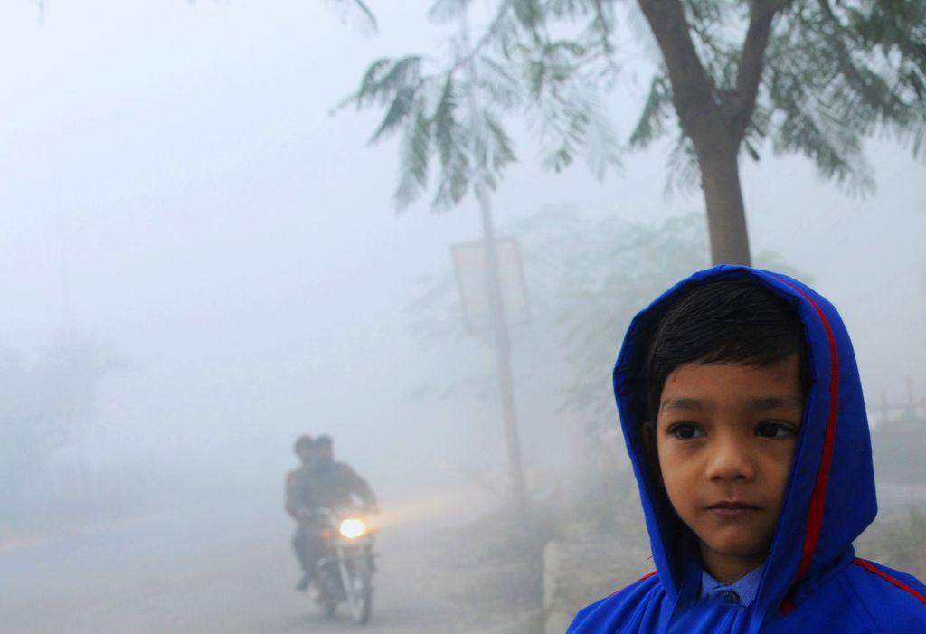 Dense morning fog, in New Delhi as cold wave continues unabated in the northern region with fog enveloping most areas and affecting transport services. PIC BY ANINDYA CHATTOPADHYAY