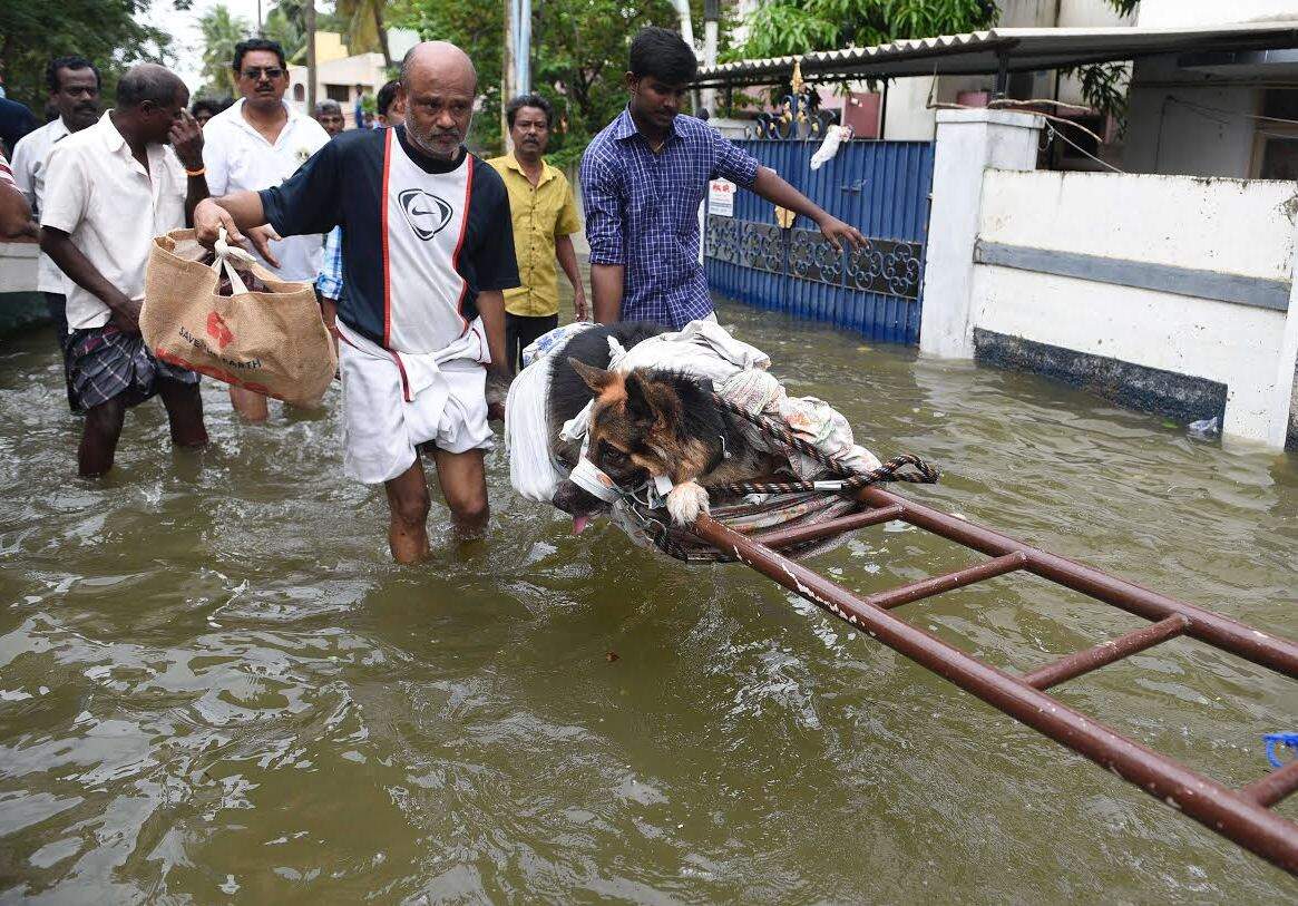 (Photo courtesy: AFP)