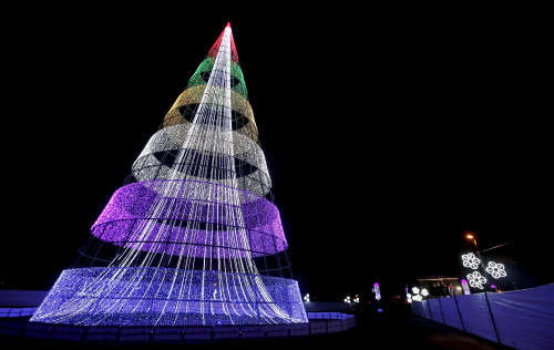 A Christmas tree in the Park Simon Bolivar in Bogota, Colombia  (Photo Courtesy: John Vizcaino / Reuters)