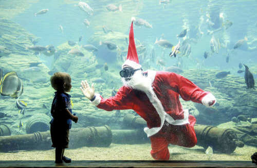 A South African diver dressed as Santa Claus and greets children at Africa's largest marine theme park (Photo Courtesy: Rajesh Jantilal / AFP)