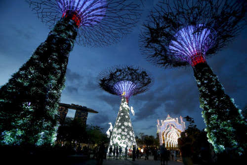 Trees decorated at the Gardens by the Bay in Singapore (Photo Courtesy: Edgar Su / Reuters)