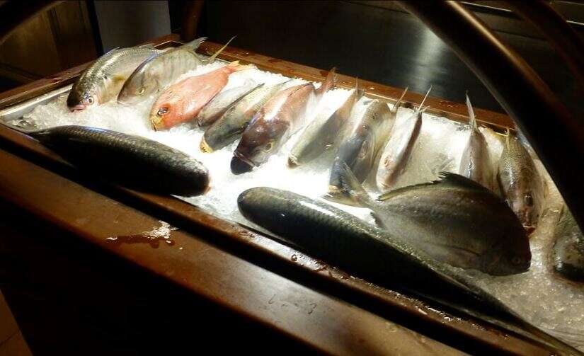 The fish on display on the ice rack