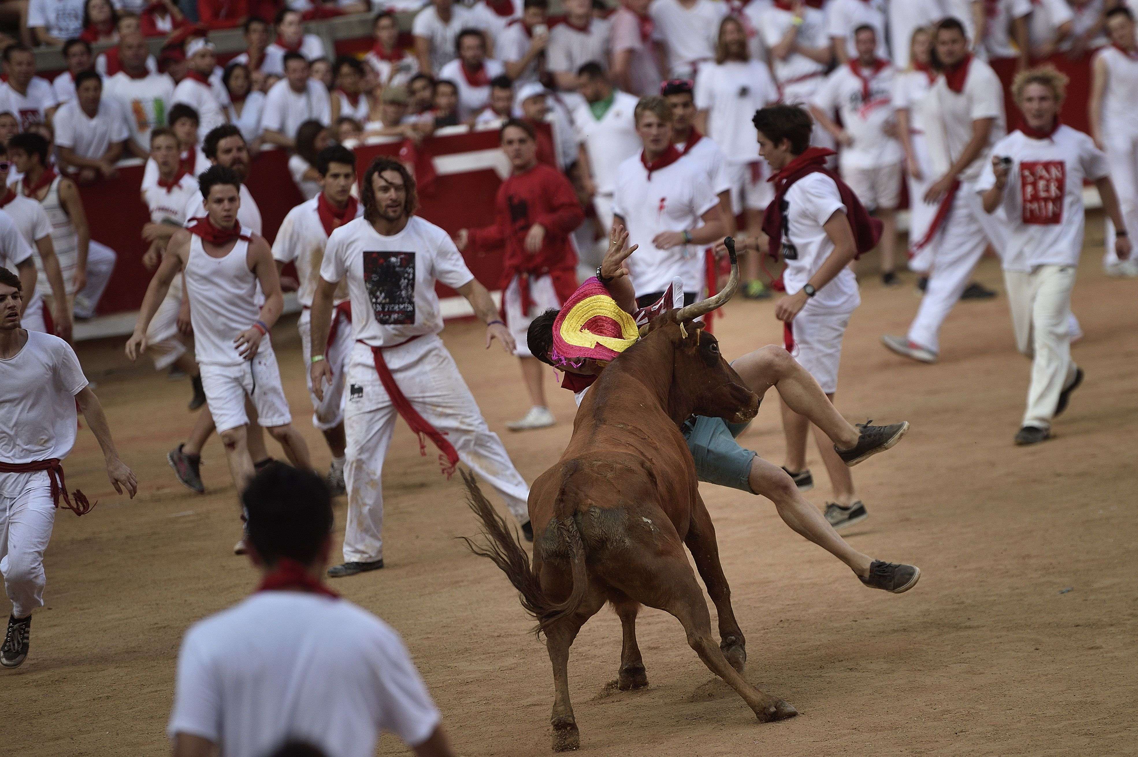 A reveler is pushed by a cow during the cow's festival at the end of the second running of the bulls at the San Fermin Festival, in Pamplona, norther Spain, Friday, July 8, 2016. Revelers from around the world arrive to Pamplona every year to take part in some of the eight days of the running of the bulls. (AP Photo/Alvaro Barrientos)