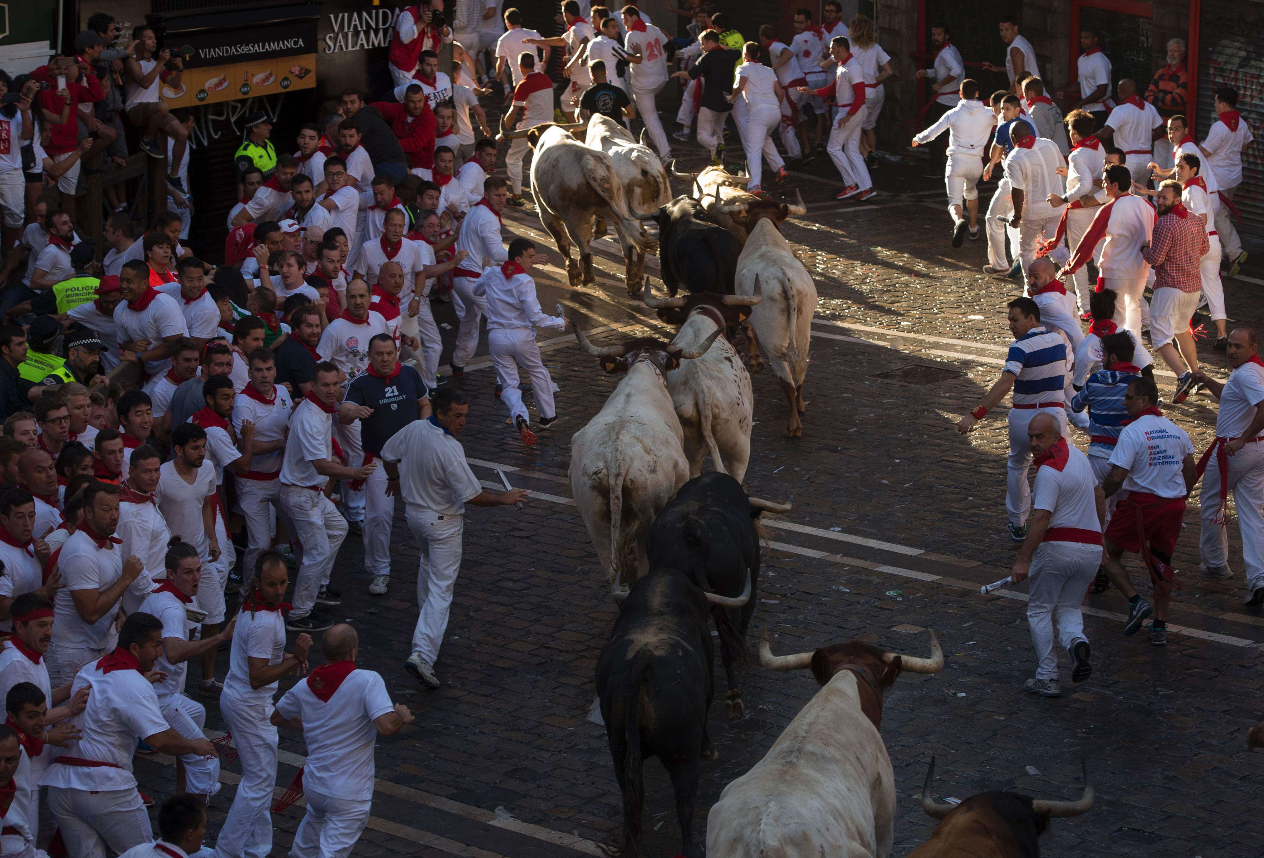 Participants run ahead of Fuente Ymbro fighting bulls on the first day of the San Fermin bull run on July 7, 2016, in Pamplona, northern Spain.  On each day of the festival six bulls are released at 8:00 a.m. (0600 GMT) to run from their corral through the narrow, cobbled streets of the old town over an 850-meter (yard) course. Ahead of them are the runners, who try to stay close to the bulls without falling over or being gored. / AFP PHOTO / MIGUEL RIOPA