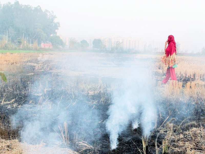 CHANDIGARH: Farmers violating the ban on stubble burning at Zirakpur and near international Airport which is causing pollution in its nearby area and at Zirakpur and at Chandigarh too. Photo: BALISH AHUJA