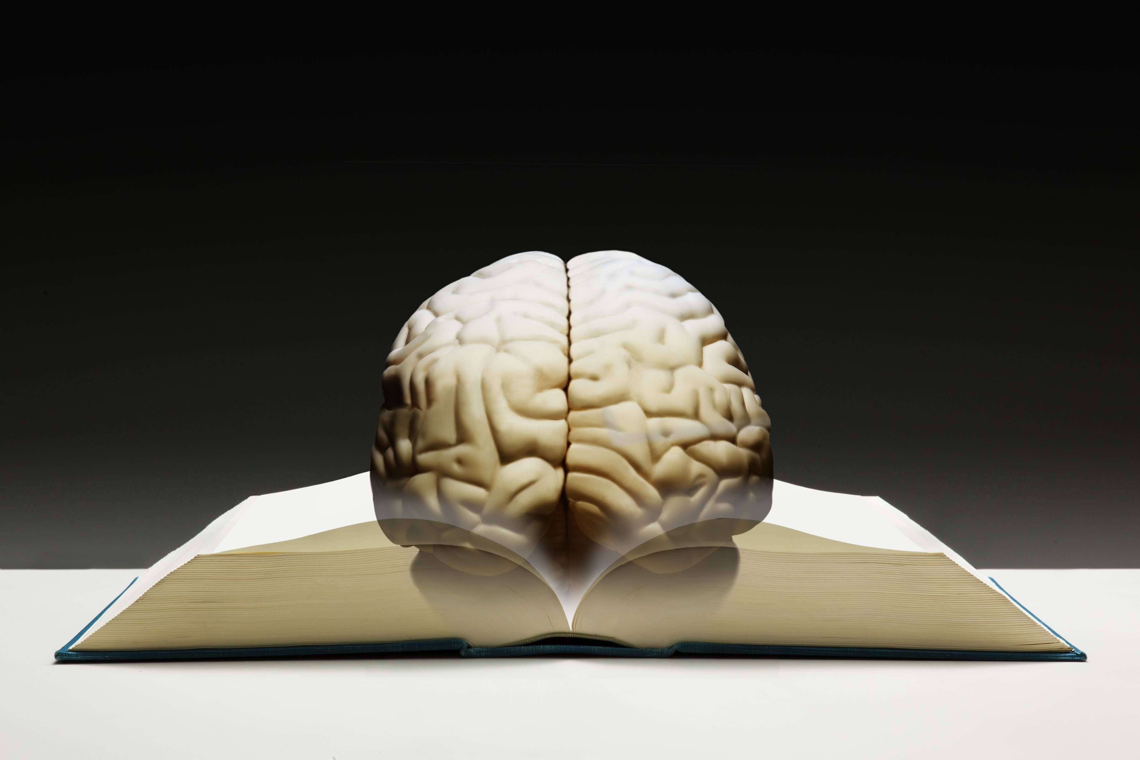 Book brain. Мозг знания. Книга мозг. Мозг креатив. Чтение книг мозг.