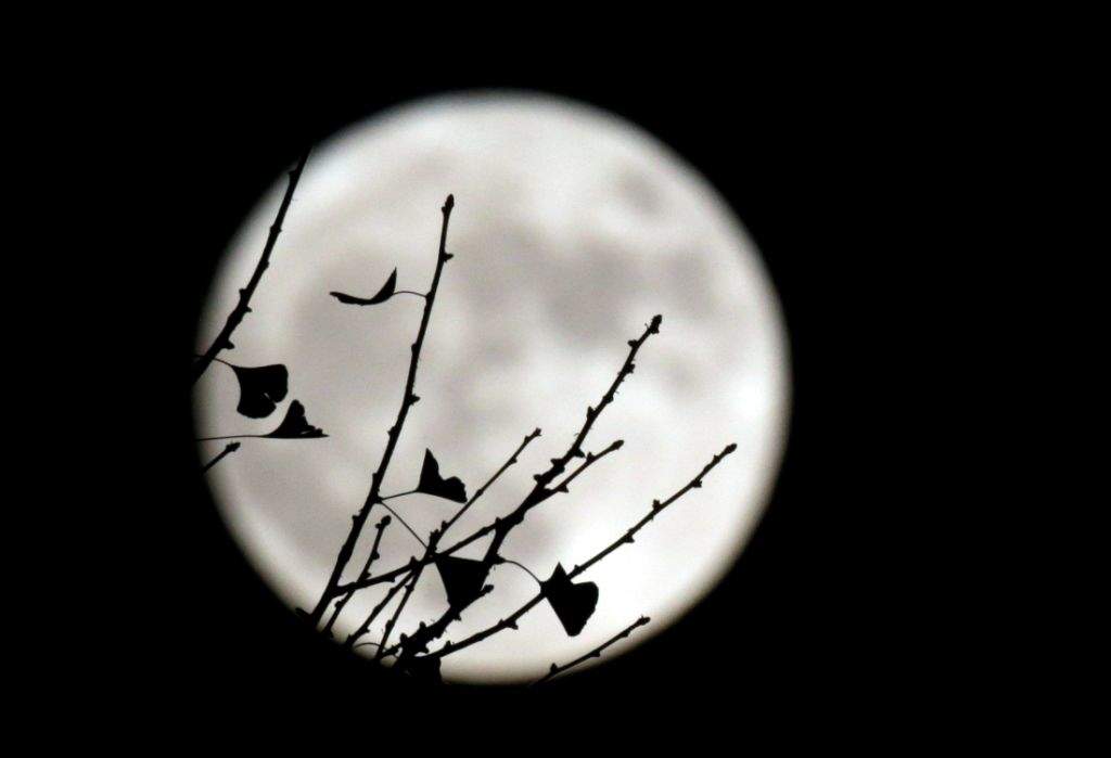 The supermoon is seen behind a ginkgo tree in Beijing, China. (REUTERS/Jason Lee)