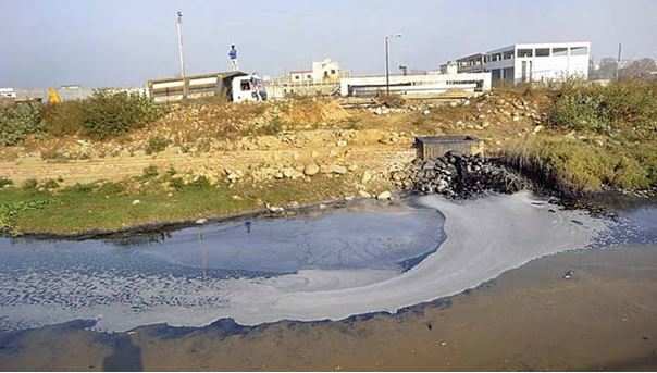 Polluted Kala Sanghia drain that merges with Sutlej