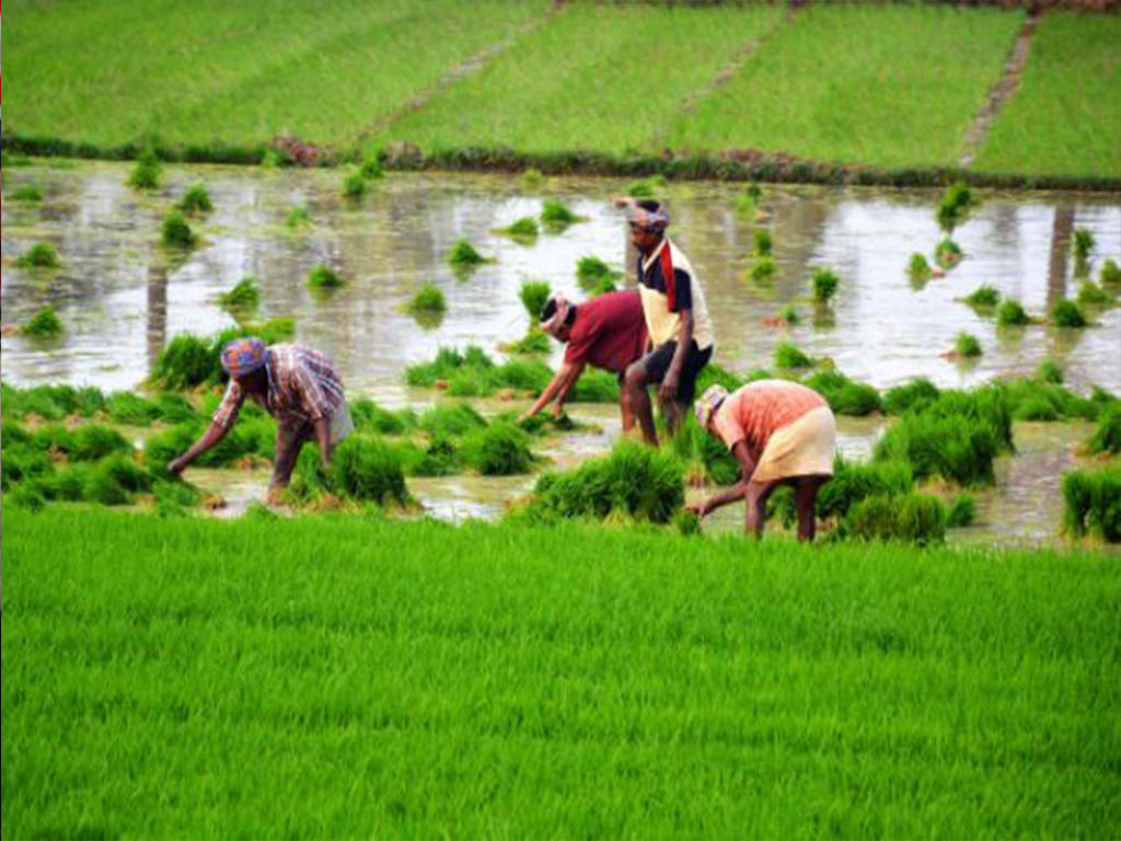 essay on farming and farmers