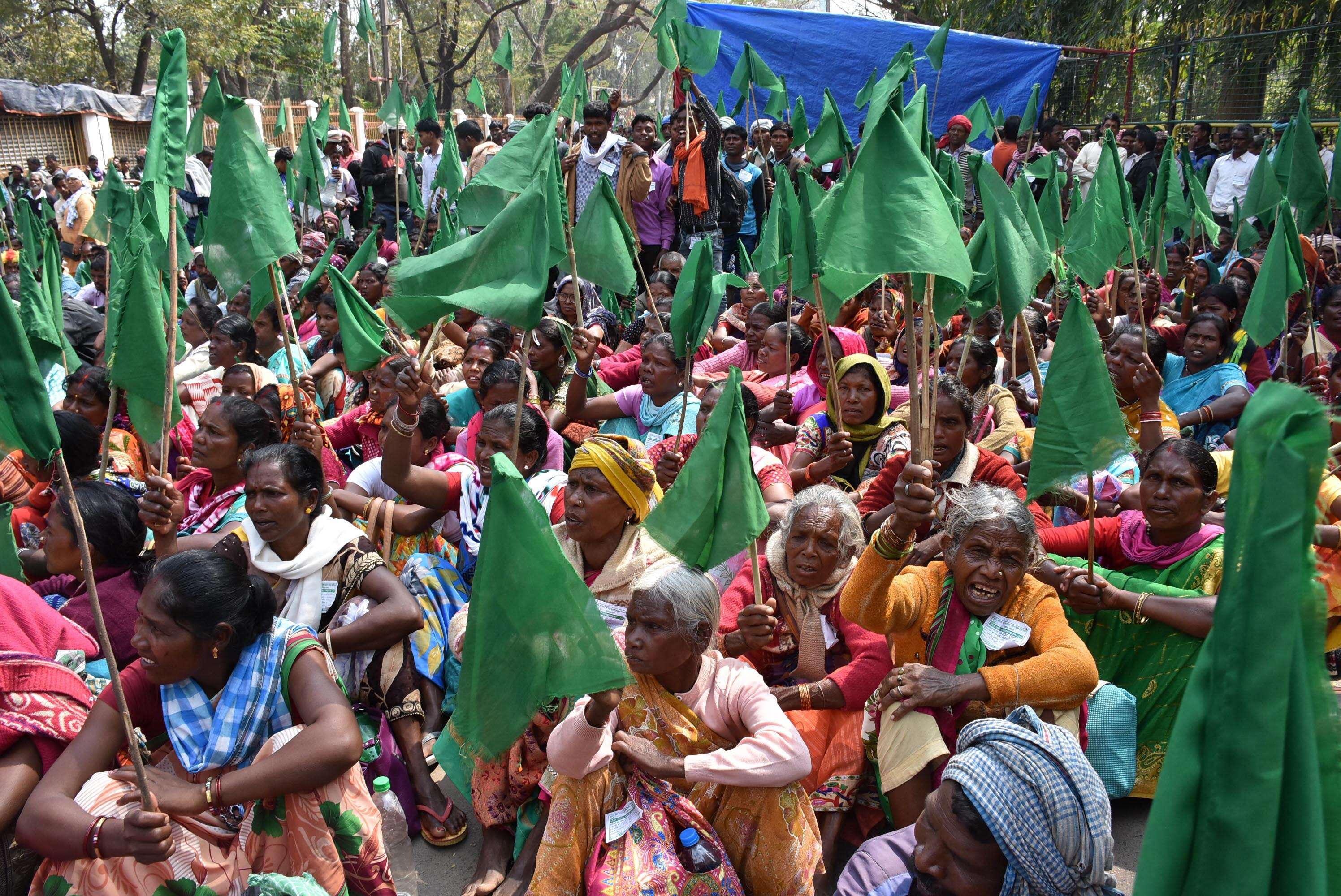 Reviewing the claims to forest land of nearly 10 lakh Adivasi and other ...