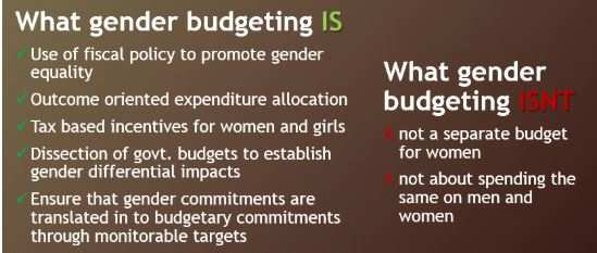 Gender Budgeting: Addressing the gap between policy and action for Indian  women