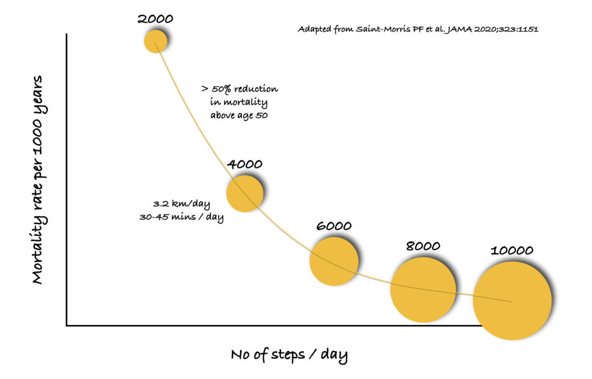 why-is-it-important-to-walk-4-000-steps-per-day