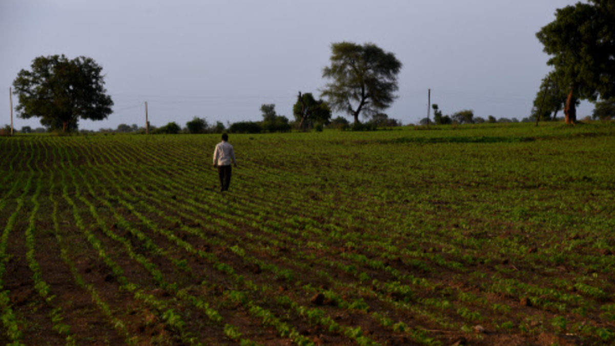 natural farming essay in gujarati