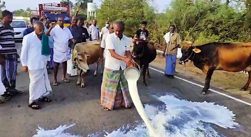 Erode, Mar 17 (ANI): Dairy farmers throw milk on the road during their protest against the Tamil Nadu government demanding an increase in milk procurement prices, in Erode on Friday. (ANI Photo)