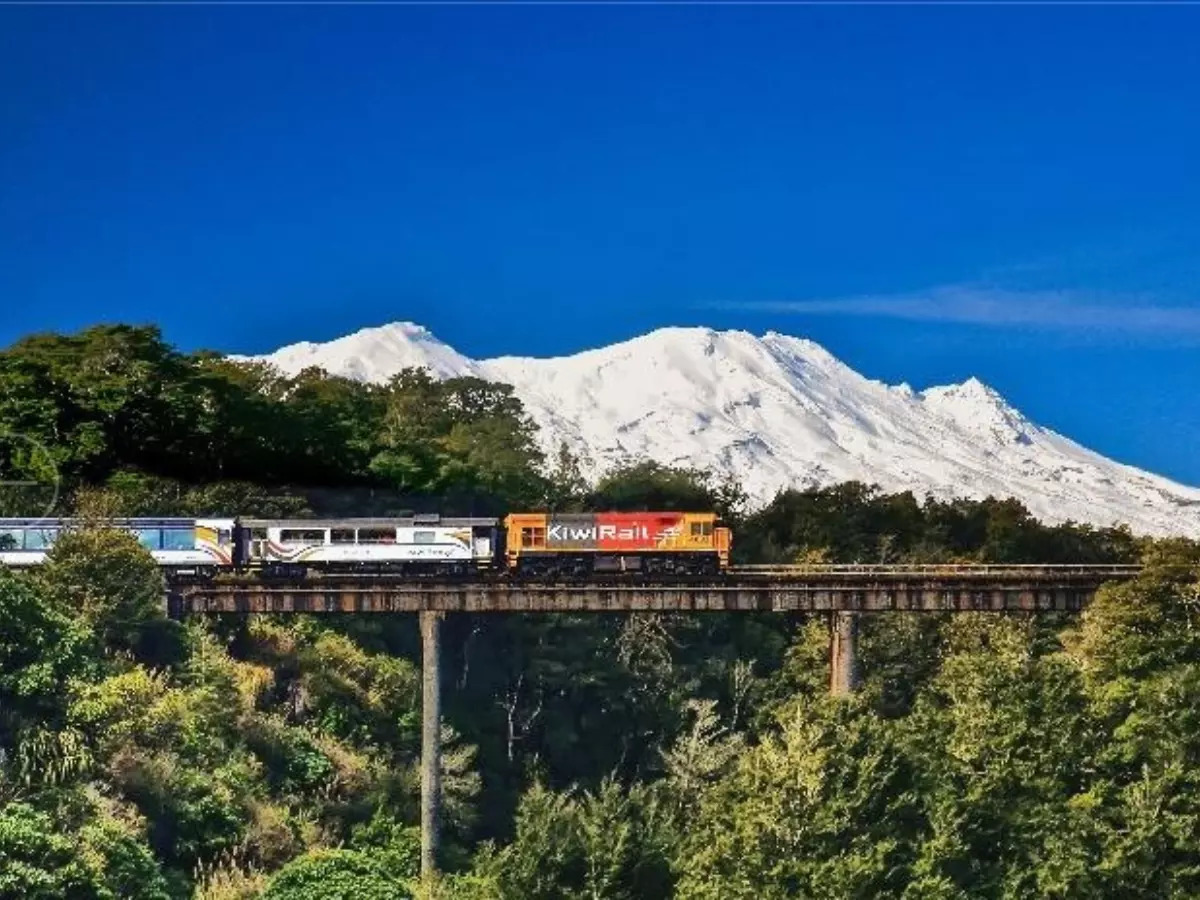 New Zealand by Rail - Mesmerizing train journeys to embark on | Times of  India Travel