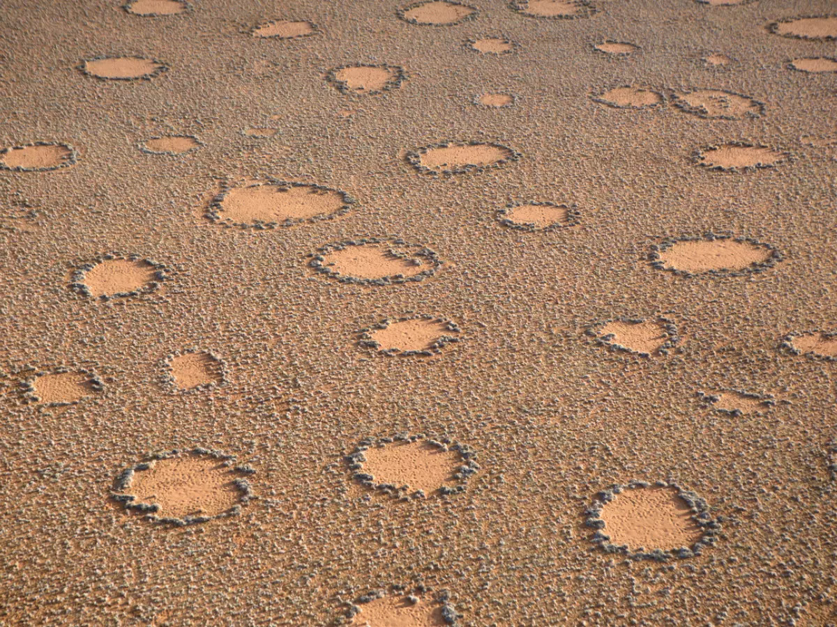 Solving the puzzle of 'Fairy Circle' that mysteriously appear in these  deserts