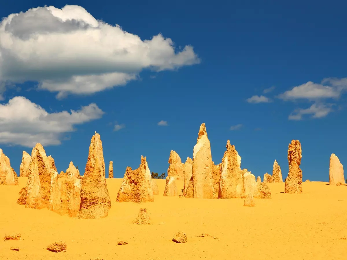 Australia: The wondrous world of the Pinnacles in Nambung National | Times  of India Travel