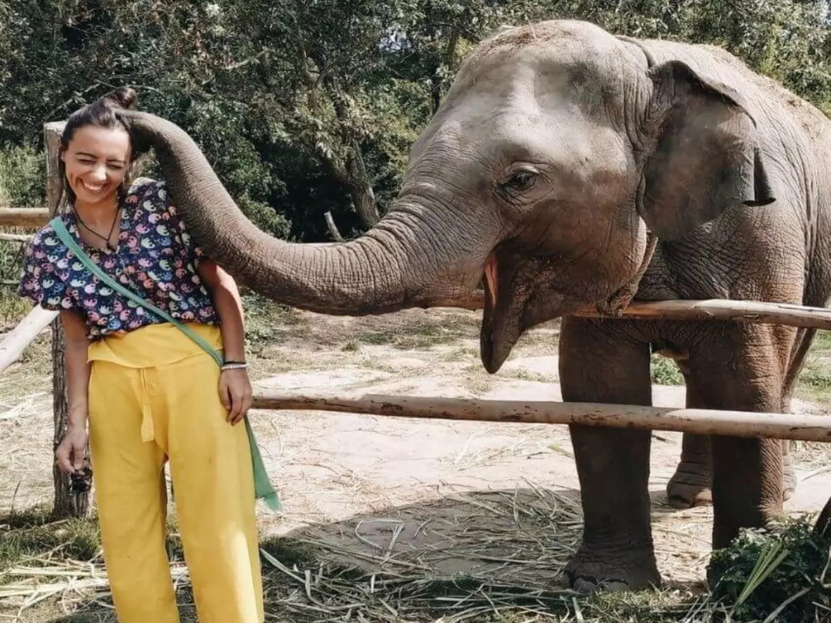 Thailand: Elephant Rescue Sanctuary in Chiang Mai, where compassion meets  conservation, Chiang Mai - Times of India Travel