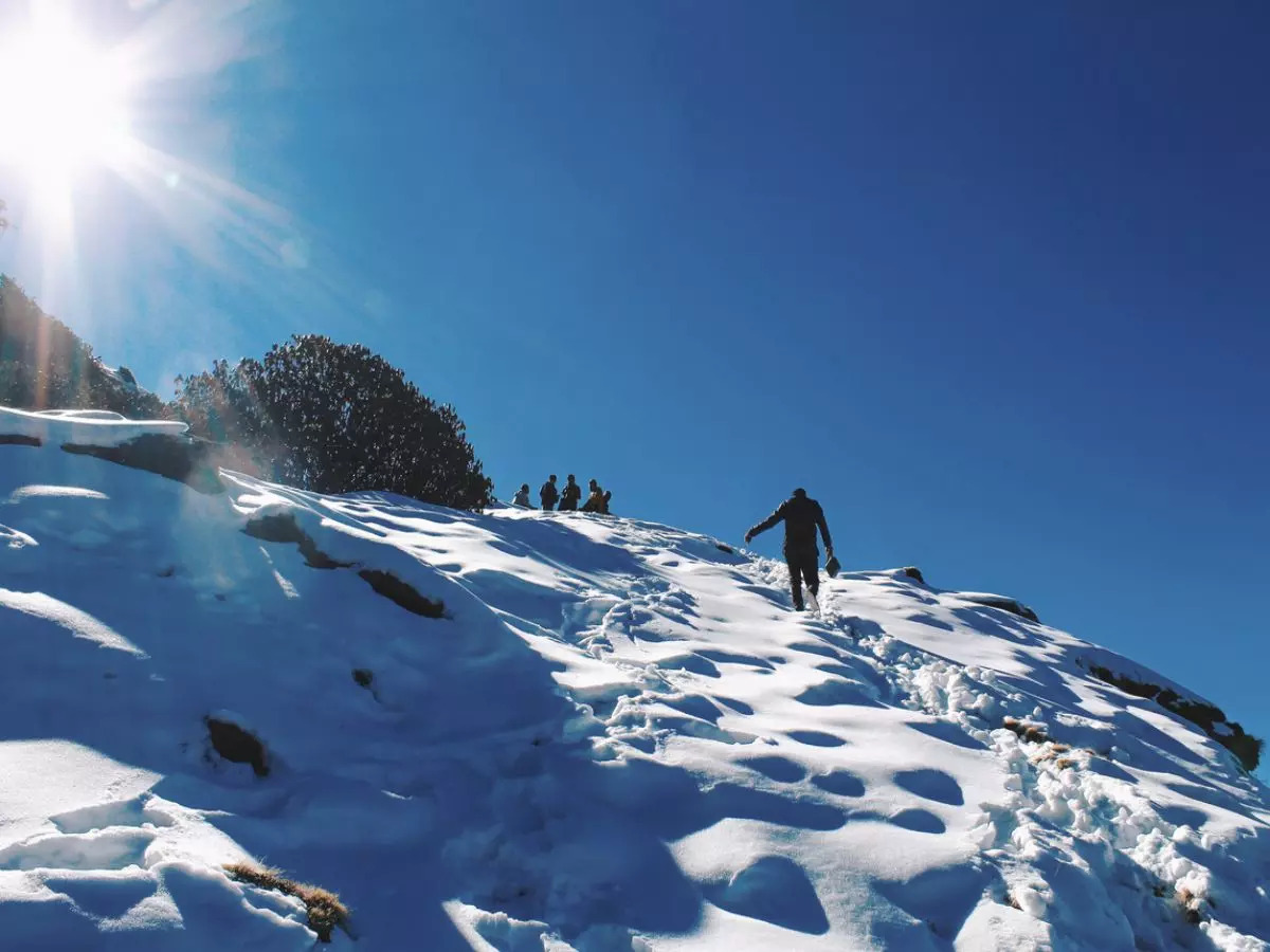chopta tour package