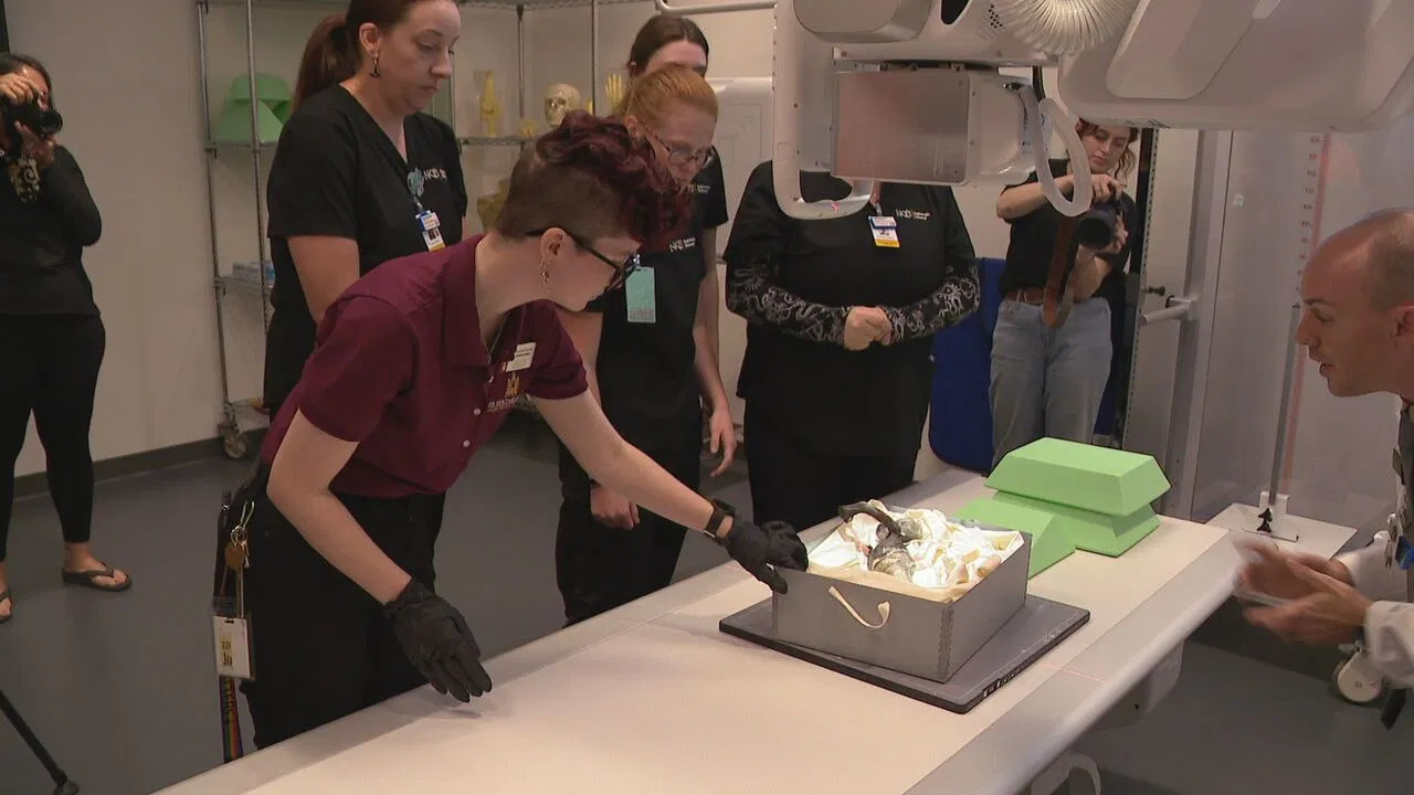NKU students scan and X-ray mysterious 'Fiji Mermaid' remains (WKRC) discovery