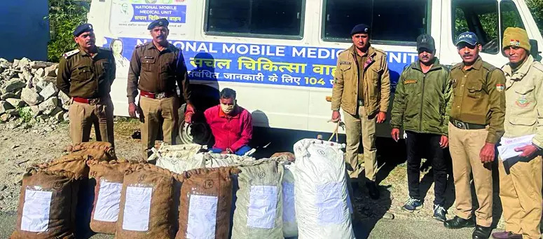 No patient, 200kg ganja worth 32L found in speeding ambulance