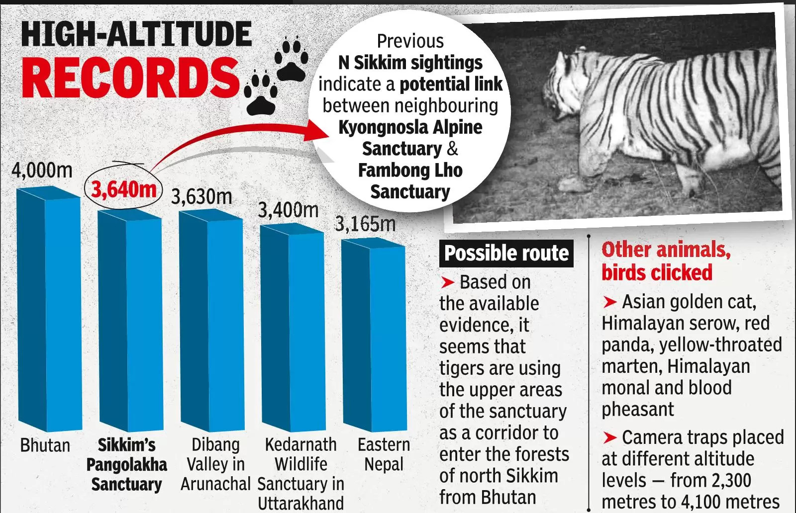 At top of 3,640m, tiger in Sikkim climbs new heights
