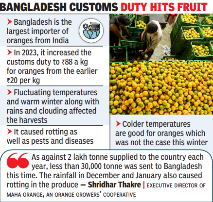 From produce to transit, Nagpur oranges done in by warm winter, Dec &amp; Jan rain