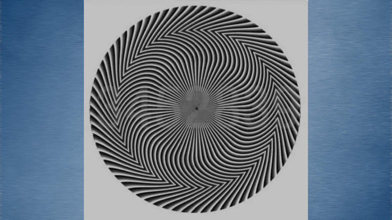 optical illusion (10)