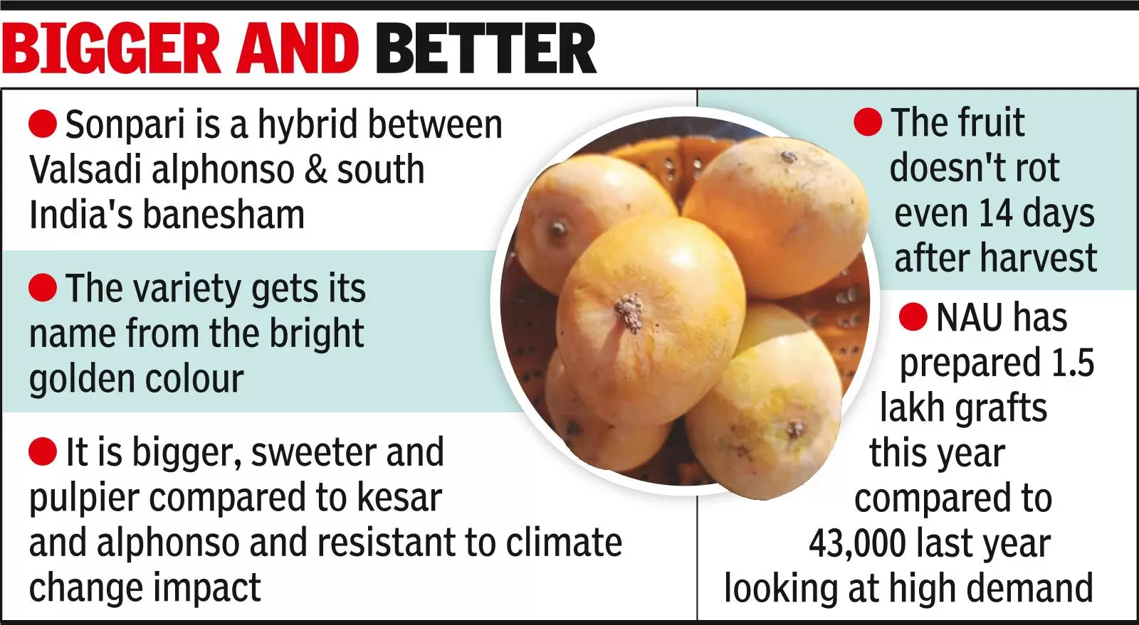 Sonpari ushering sweet change in kesar mango hub