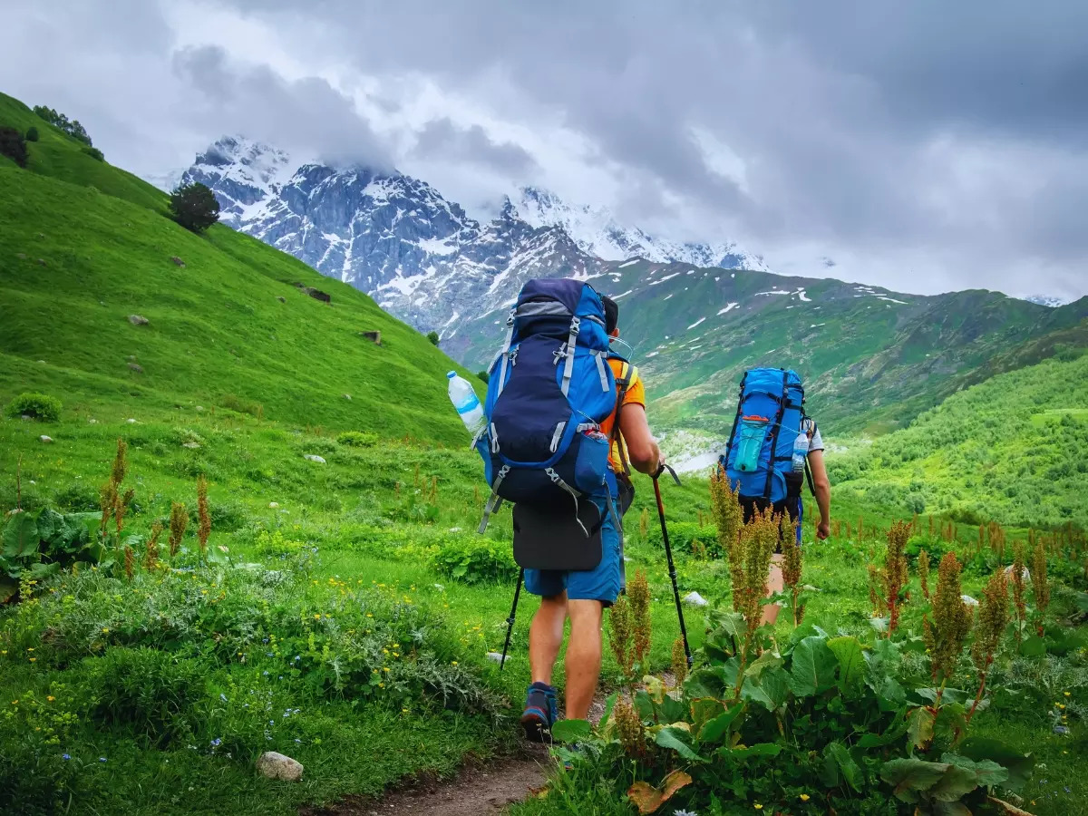 NEAT for Amanojak. ALL WEATHER TRAVELLER