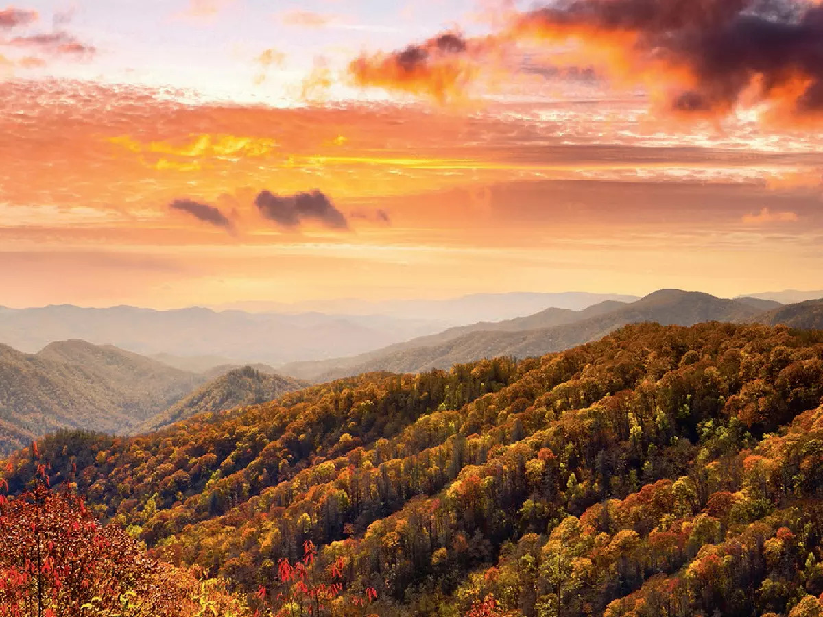 ‘America still uses and exports coal — mining it in Appalachia ruins ...