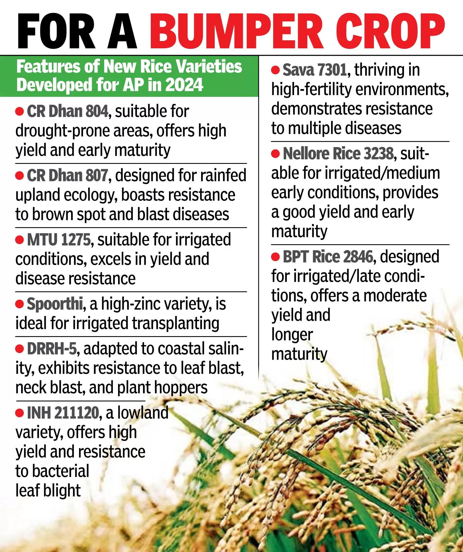 Farmers get 46 new rice varieties in last 5 years