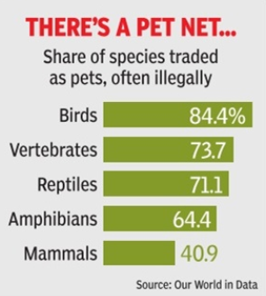 There&#39;s a pet net