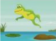 Wallace&#39;s flying frog