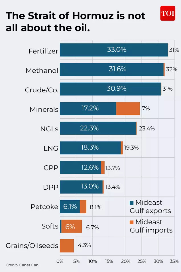 The Strait of Hormuz is not all about the oil.