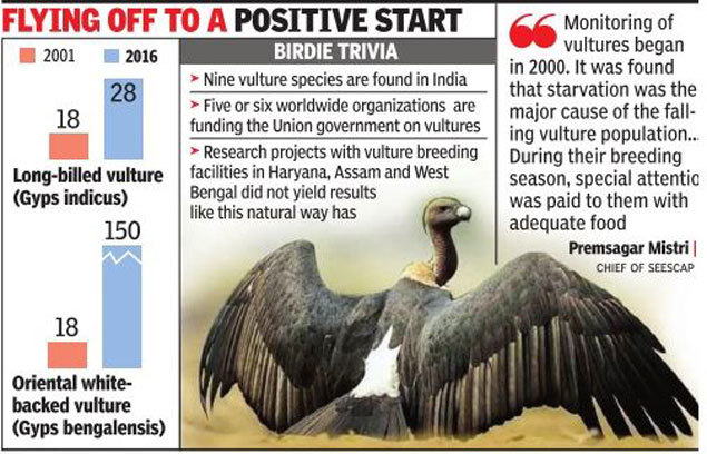 Vulture Numbers On A High After 15 Yrs Of Conservation Efforts Focused ...