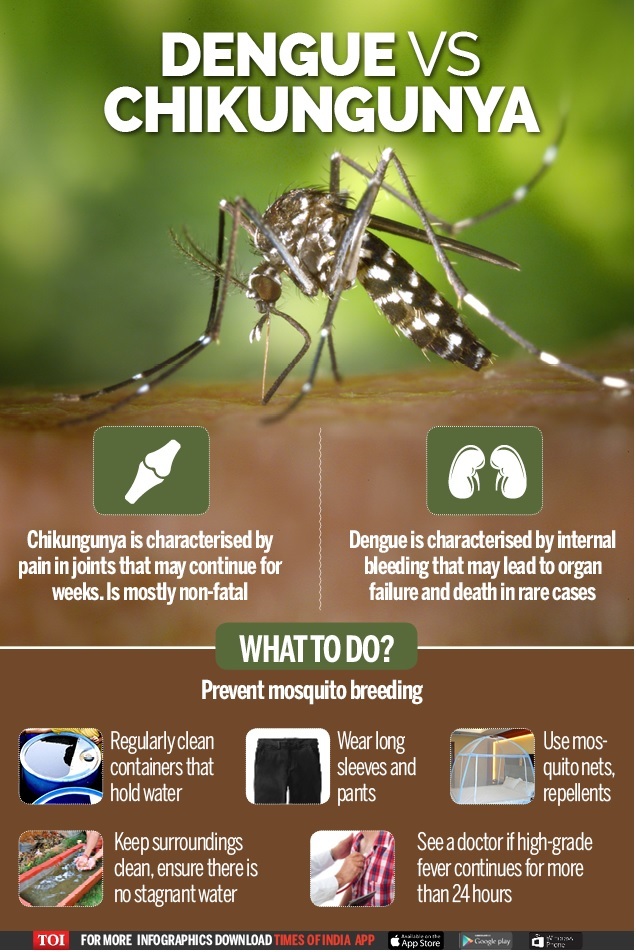 Chikungunya Dengue And Chikungunya Symptoms And Dos And Donts