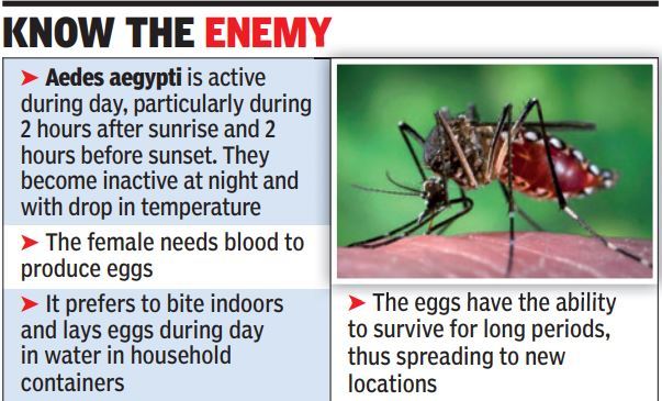 dengue-mosquitoes-now-active-also-at-night-experts-kolkata-news