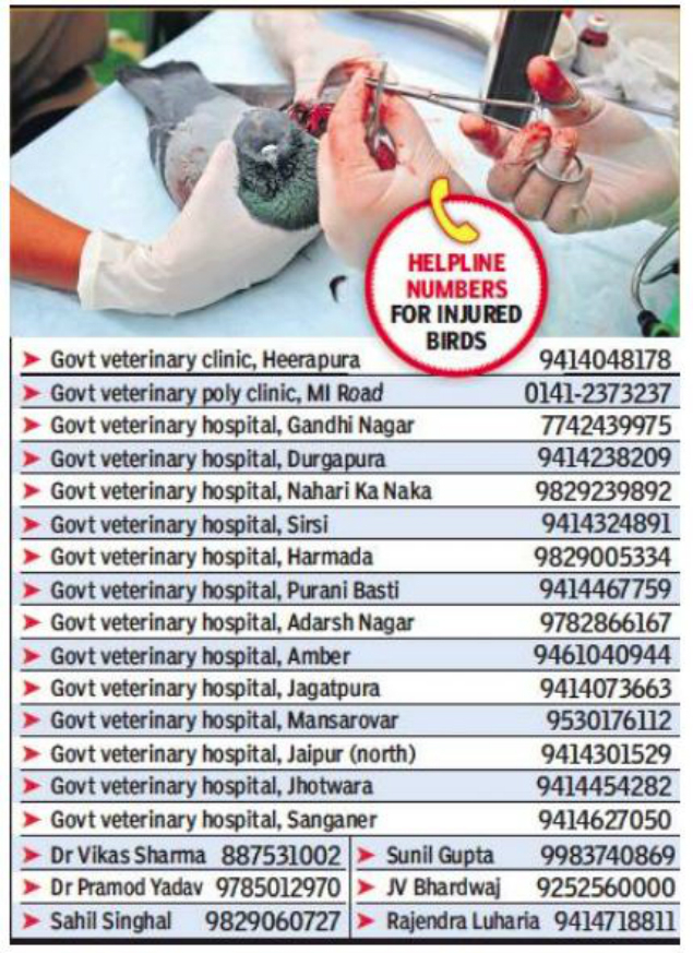 bird rescue near me phone number