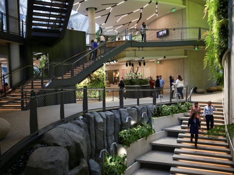 At This Rainforest Office E Tail Giant Hopes Ideas Will The Gl Orbs Were Built To Let Workers Escape From Emails Meetings Reports And Deadlines Walk Along Stone Paths Beside Waterfalls
