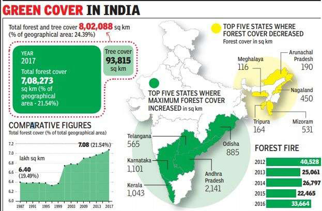 India S Forest Cover Increases By 1 But Ne A Cause For Concern