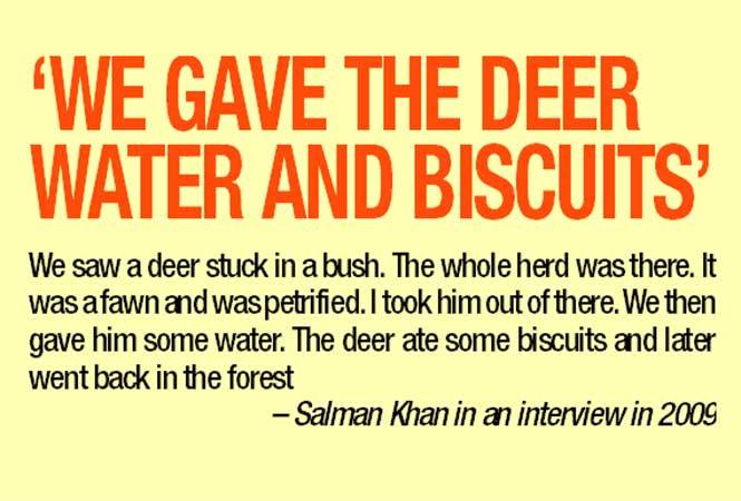 Salman Khan black buck poaching case news