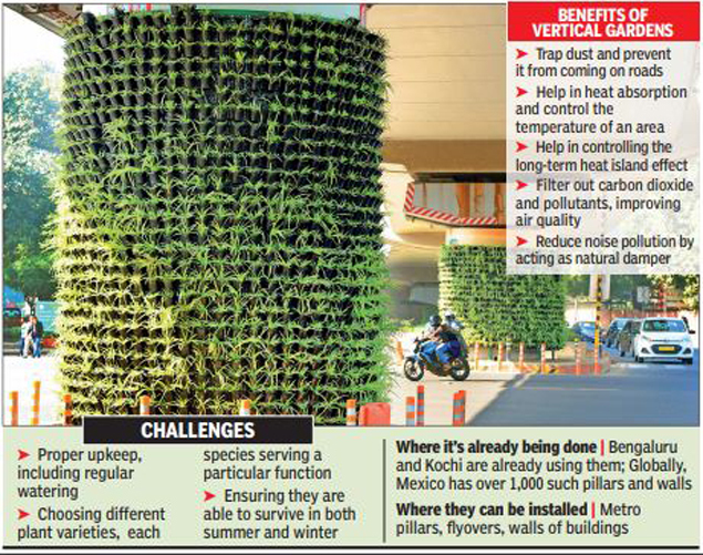 Why vertical gardens is such a ‘cool’ idea for Delhi  Delhi News  Times of India