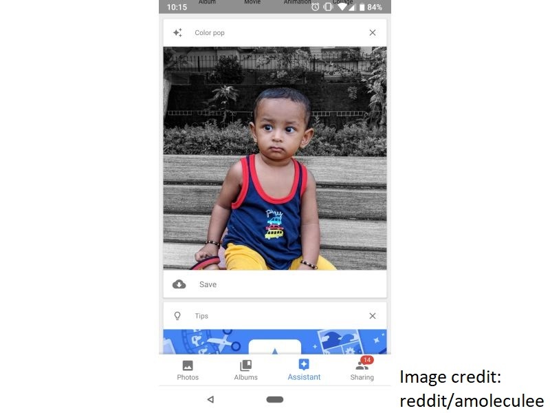 Color Pop Feature Google Photos Starts Receiving Color