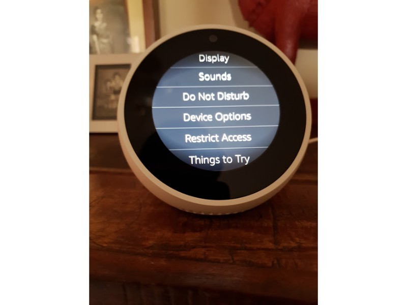 what can i do with echo spot