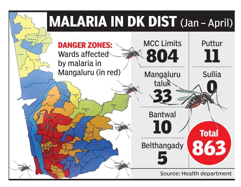 18 wards of city declared high-risk areas for malaria