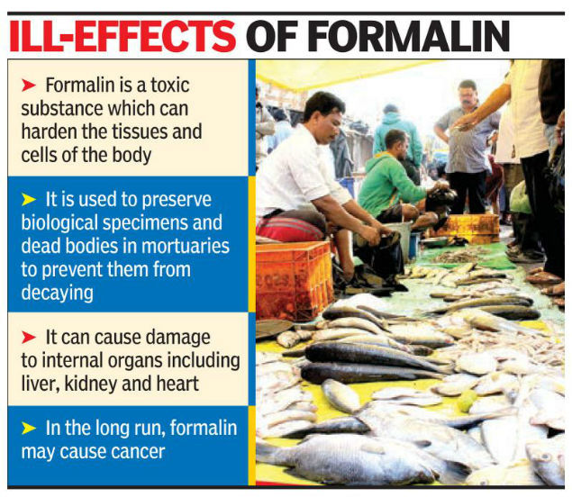 Formalin Fallout Government To Crack Down On Fish Traders In State Bhubaneswar News Times Of India