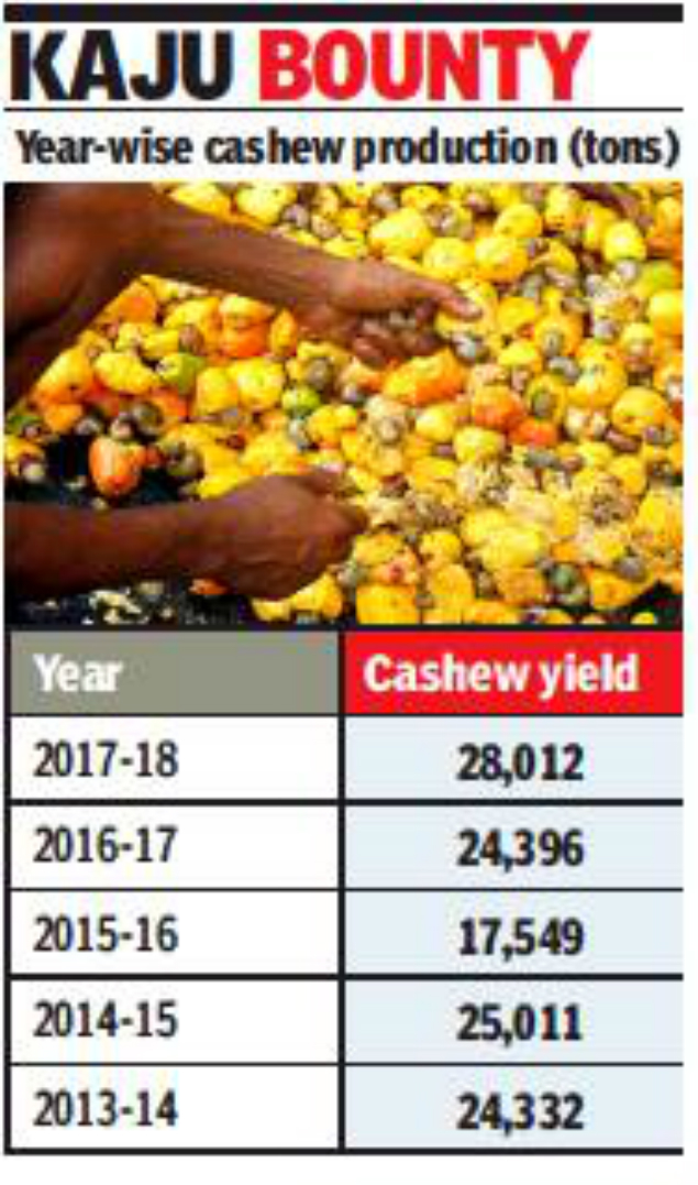 cashew production in world