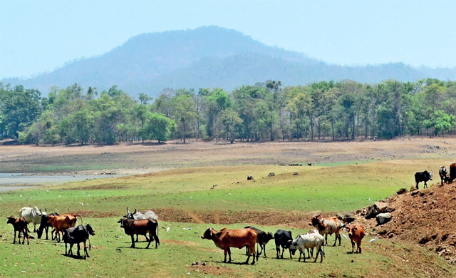 TANSA SANCTUARY